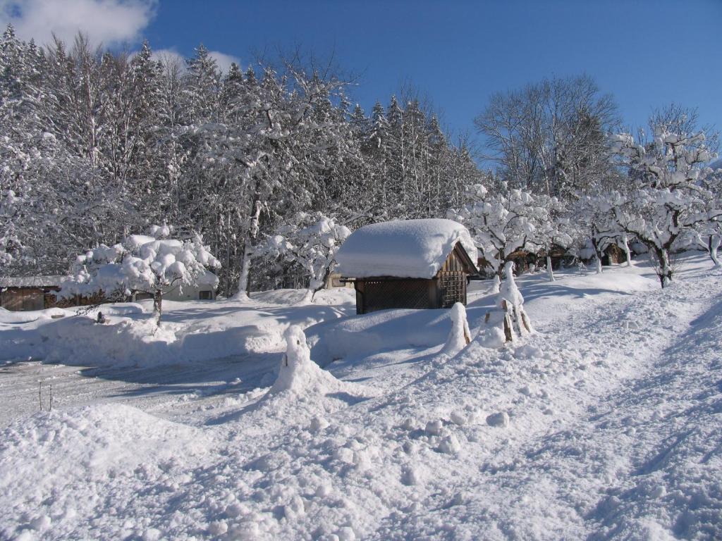 Gasthof Staud'Nwirt Bad Aussee Luaran gambar